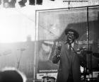 Jazz is a musical genre born in the late 19th century in the United States