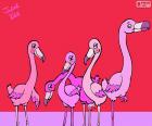 Julieta Vitali's flamingos