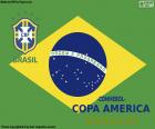 Brazil, Champion Copa America 2019