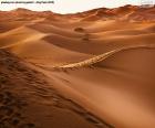 Dunes of fine sand of the desert of Morocco