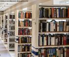 A library is a place where a set of sorted and classified books are preserved for your inquiry or loan