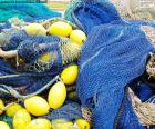 The fishing net is a passive fishing tool for fishing