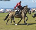 Rider performing stunts while riding a horse
