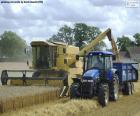 Harvester-threshing machine working in the cereal field and unloading the grain into a tractor