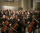 Classical music orchestra