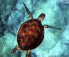 A sea turtle diving in a celestial sea