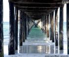 Under the wooden pier