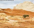 Beautiful landscape from a corner of the stunning Red Rock State Park, a large nature reserve located in Arizona, USA