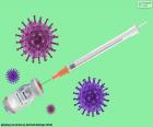 By December 2020, the first vaccines against Sars Covid 19 arrive. Since the coronavirus pandemic began to cross borders, laboratories around the world began a race against the time