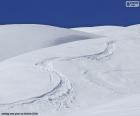 Ski traces in the snow