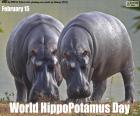 World HippoPotamus Day
