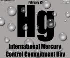 On February 23 of each year, the International Mercury Control Commitment Day is celebrated to publicize the negative consequences of mercury trade around the world