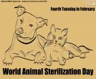 World Animal Sterilization Day