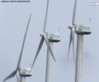 Wind turbines produce electricity using natural wind energy, clean and sustainable energy