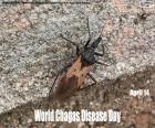 April 14 World Chagas Disease Day, considered a silent and silenced disease