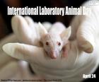 International Laboratory Animal Day, April 24. Every year more than 120 million animals undergo laboratory tests worldwide