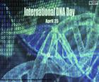 International DNA Day, April 25, A Day to Celebrate the Discovery of DNA structure