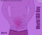 May 19, World Inflammatory Bowel Disease Day, are diseases of unknown, autoimmune and chronic cause