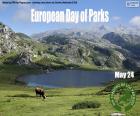 European Day of Parks