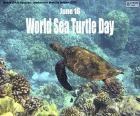 World Sea Turtle Day