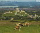 Corfe Castle, England