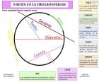 The most important parts of a circumference are: radius, diameter, rope, secant, tangent, arrow and bow