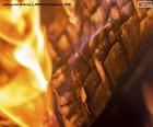 Detail of a burning log, where you can see the different colors that the fire can have