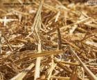 straw