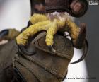 The powerful claws of a golden eagle