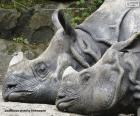 Two rhinos resting