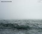 Sea, Fog, Ocean