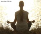 Meditate, Woman, Yoga