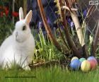 A white rabbit in the garden next to some Easter eggs