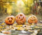 Three gourds on the leaves