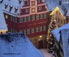 Christmas tree in the square