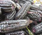 
Discover the mystery of black corn with our fascinating puzzle! Immerse yourself in a labyrinth of dark colors and unique textures as you piece together the hidden image of this ancient culinary treasure. Each puzzle piece brings you closer to revealing the beauty and symbolism behind black corn, a food that has nourished bodies and minds across generations. Challenge your mind and celebrate history with our black corn puzzle!