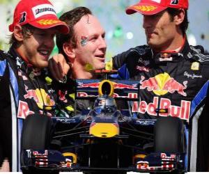 Red Bull F1 constructors' champion 2010 puzzle