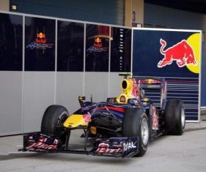 Red Bull RB6 puzzle
