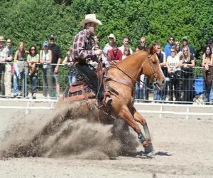 Reining - Western riding - Ride Cowboy puzzle