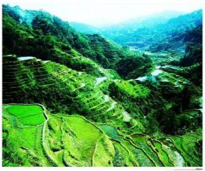Rice Terraces of the Philippine Cordilleras puzzle