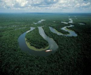 Rio Amazonas, in the complex conservation of Central Amazon, Brazil puzzle