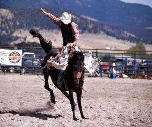 Rodeo - Rider in the saddle bronc competition, riding a wild horse puzzle