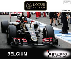 Romain Grosjean, 2015 Belgian Grand Prix puzzle