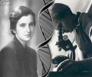 Rosalind Franklin (1920-1958), pioneer in DNA research puzzle