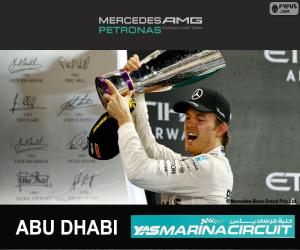 Rosberg 2015 Abu Dhabi Grand Prix puzzle