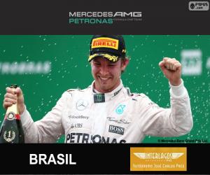 Rosberg 2015 Brazilian Grand Prix puzzle