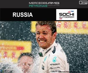 Rosberg, 2016 Russian Grand Prix puzzle