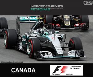 Rosberg G.P. Canada 2015 puzzle