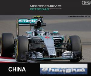 Rosberg G.P Chinese 2015 puzzle