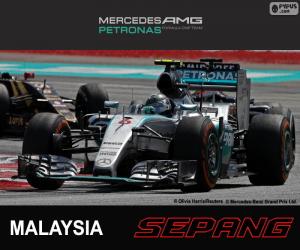 Rosberg G.P. Malaysia 2015 puzzle